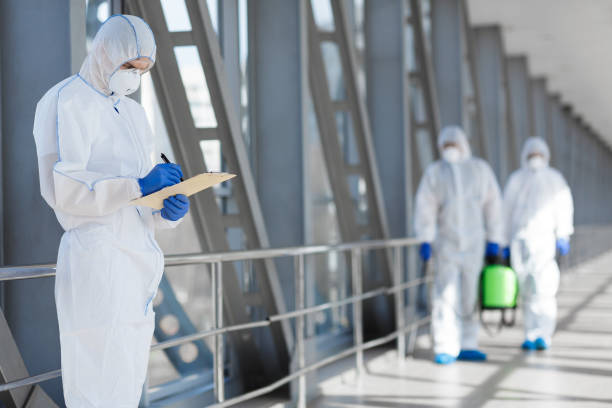 Best Biohazard Mold Removal  in Manorville, NY