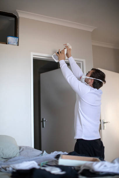 Best Real Estate Mold Inspection  in Manorville, NY