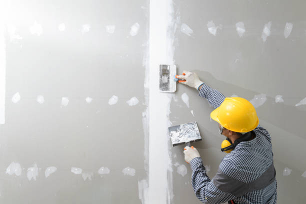 Best Comprehensive Air Testing for Mold Contaminants  in Manorville, NY