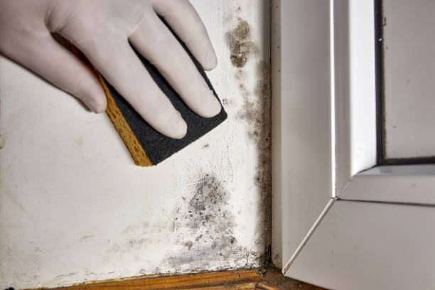 Asbestos and Lead Testing During Mold Inspection in Manorville, NY