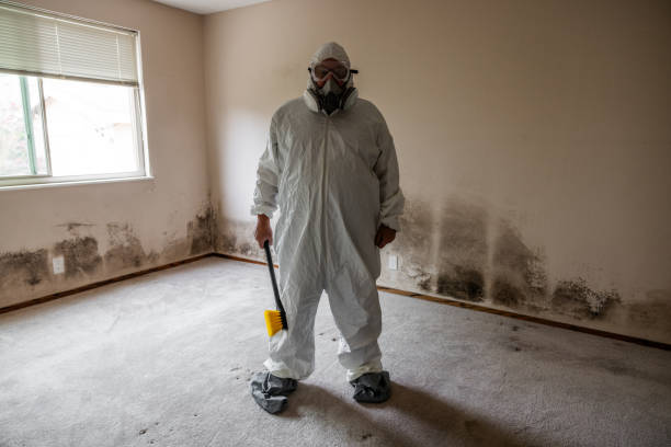 Best Water Damage & Mold Remediation  in Manorville, NY