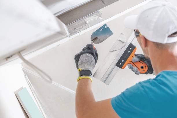 Best Forensic Mold Investigation  in Manorville, NY